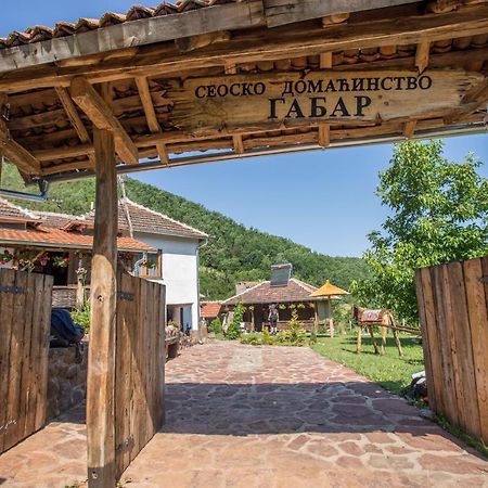 Villa Seosko Domacinstvo „Gabar” Custica Esterno foto