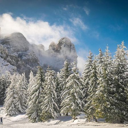 Villa Seosko Domacinstvo „Gabar” Custica Esterno foto