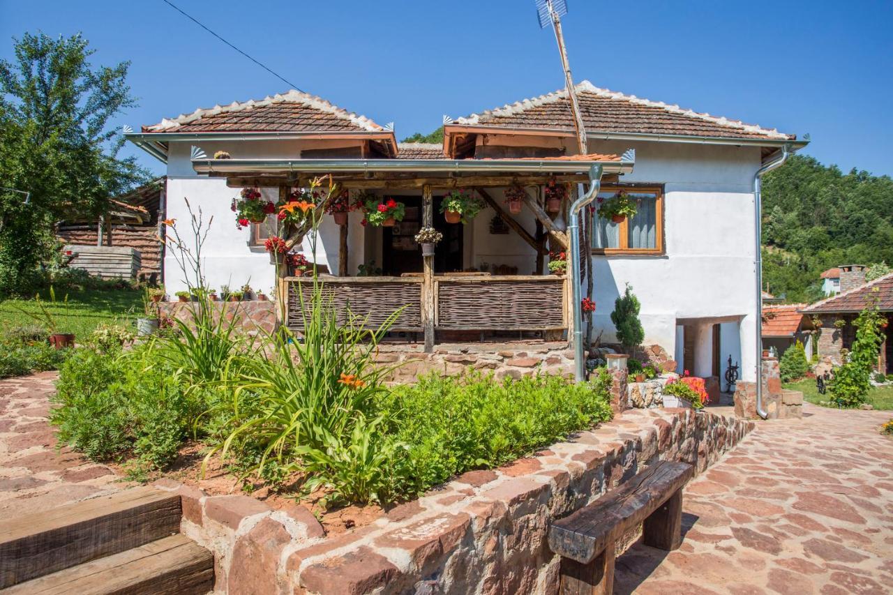 Villa Seosko Domacinstvo „Gabar” Custica Esterno foto