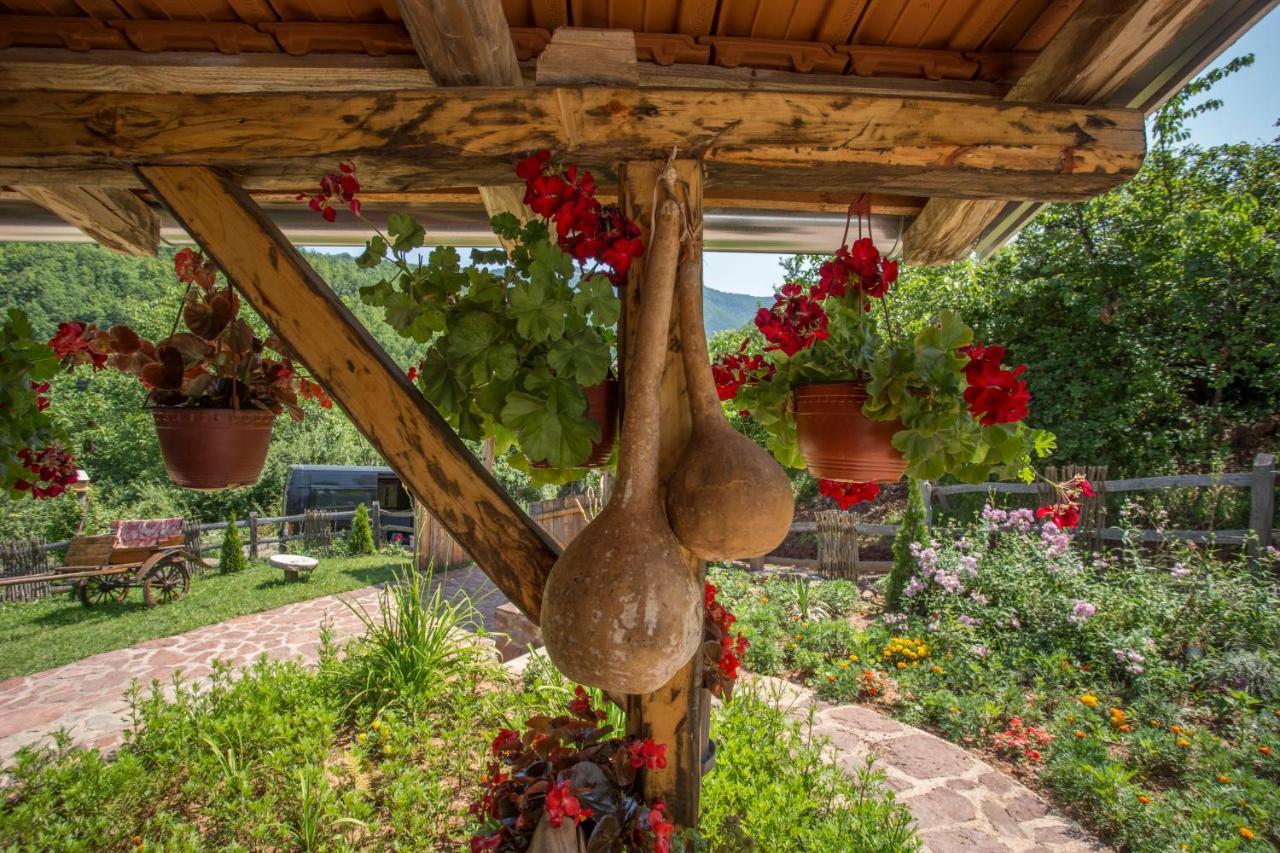 Villa Seosko Domacinstvo „Gabar” Custica Esterno foto