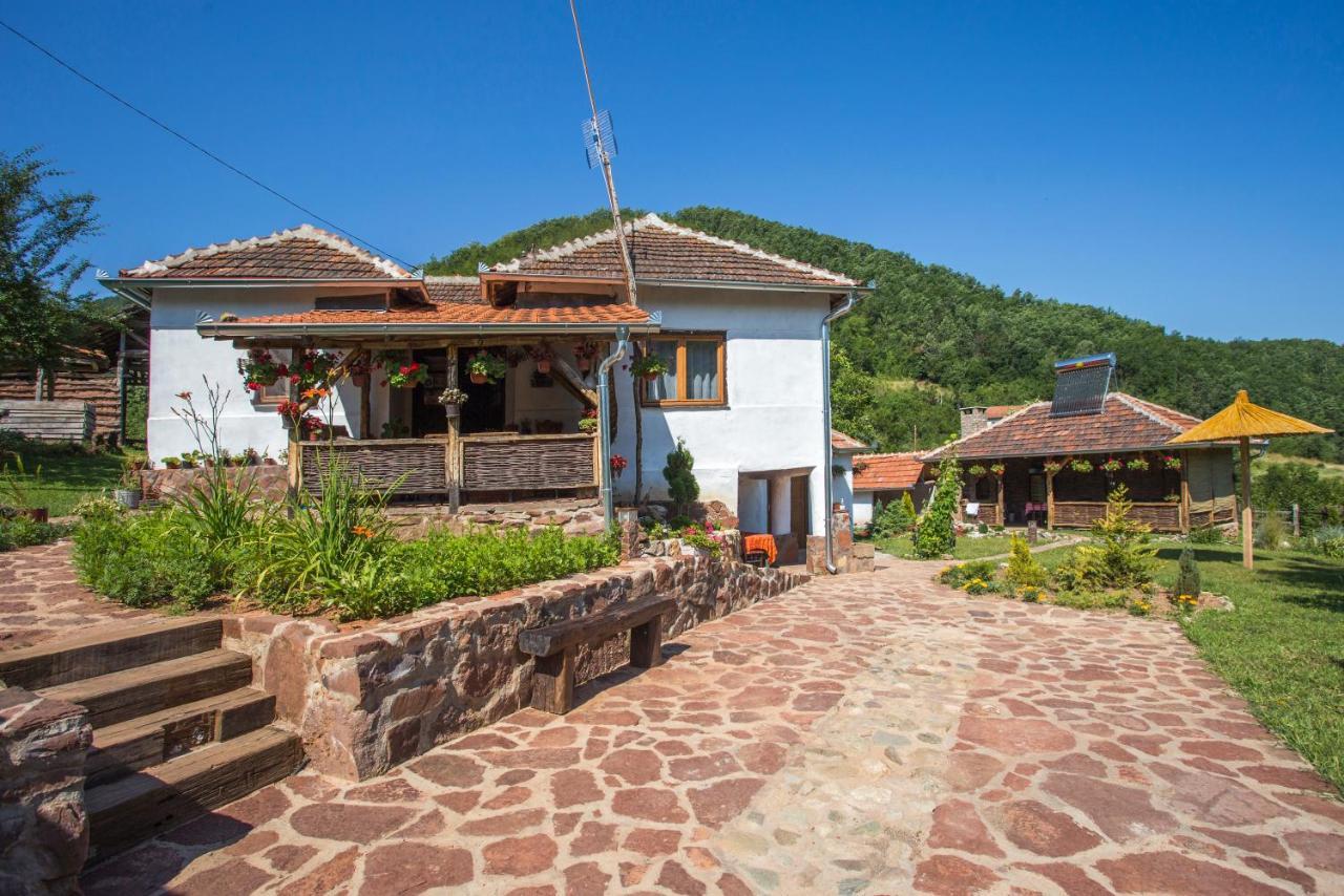 Villa Seosko Domacinstvo „Gabar” Custica Esterno foto