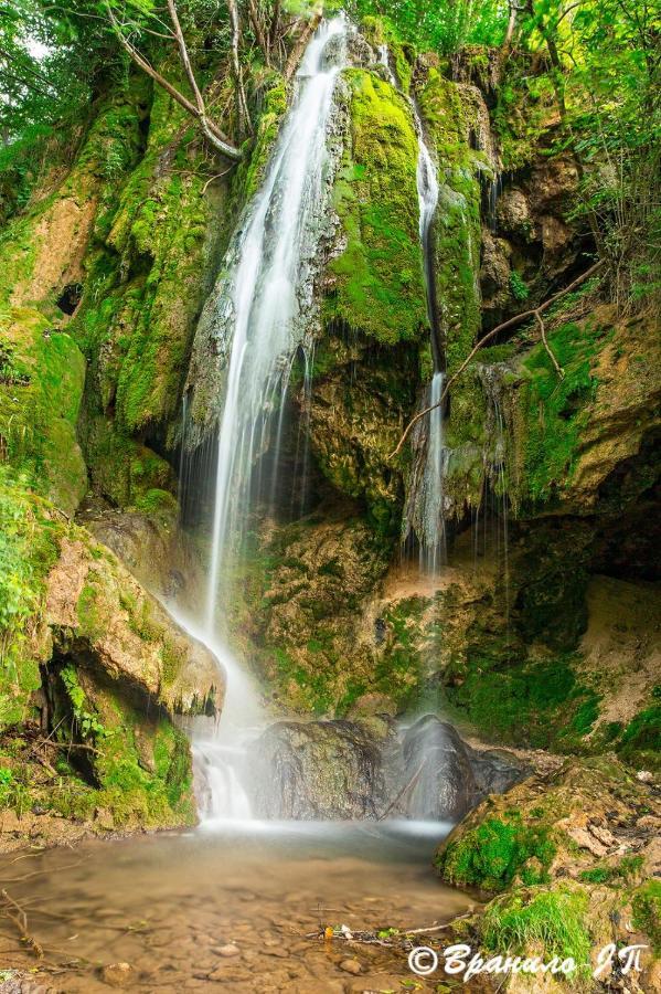 Villa Seosko Domacinstvo „Gabar” Custica Esterno foto